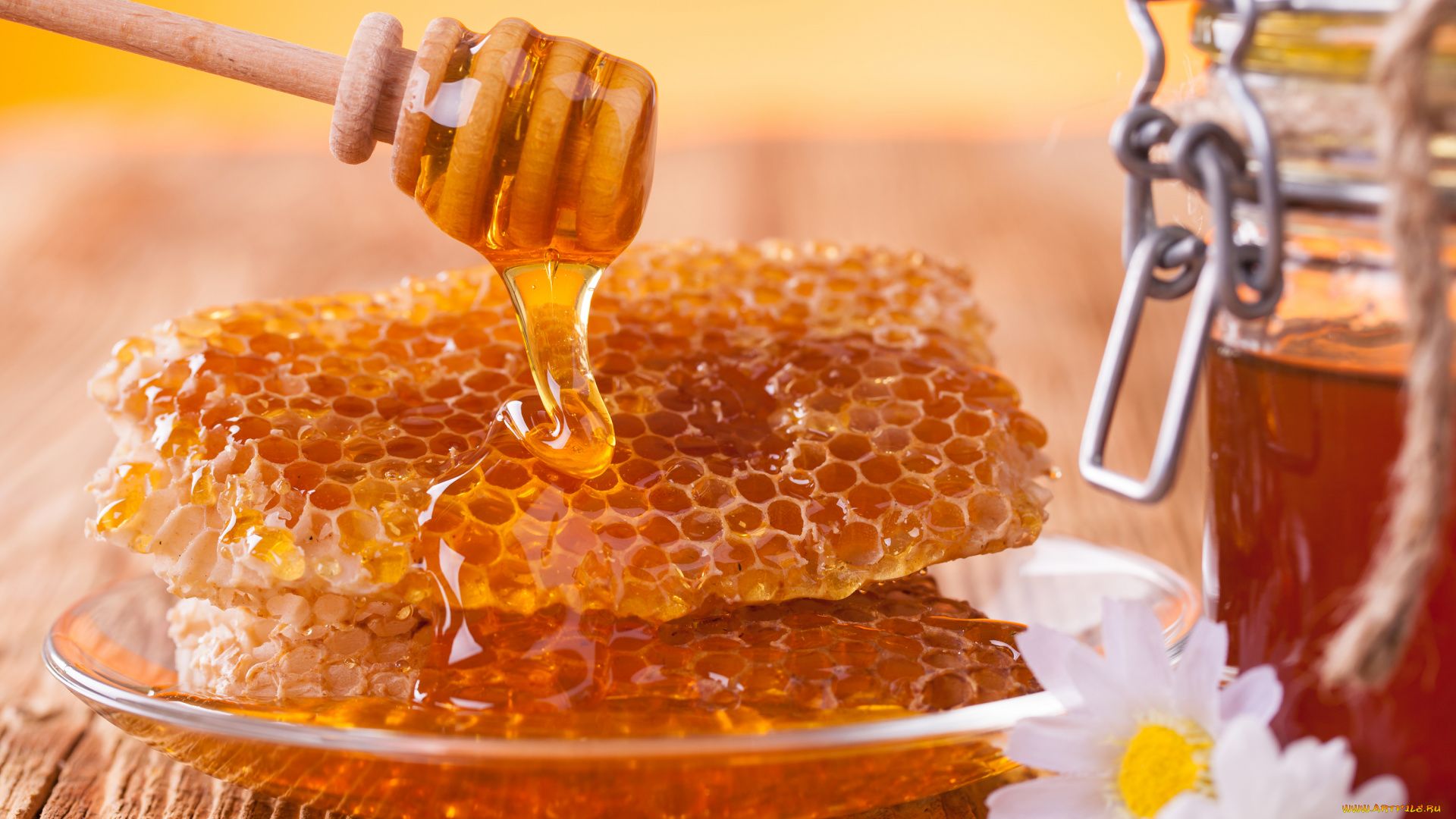 Honey Background Wallpaper