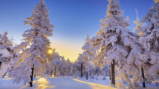 Winter Snow Scenes free download wallpaper