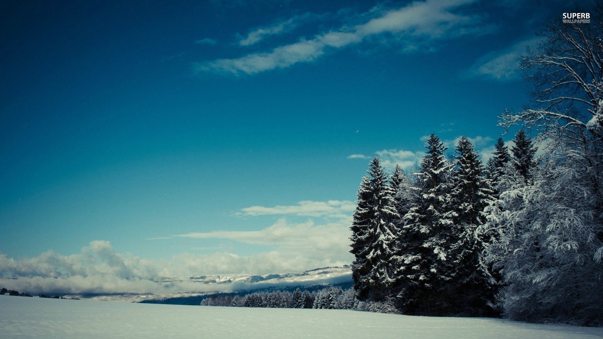 Winter Snow Scenes hd wallpaper 1080p for pc
