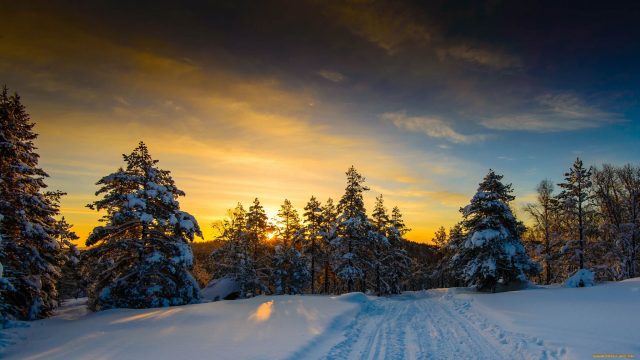 40 Winter Snow Scenes Wallpapers - Wallpaperboat