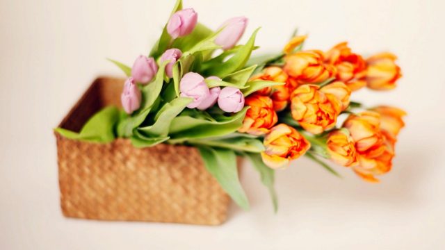 Basket With Flowers background wallpaper