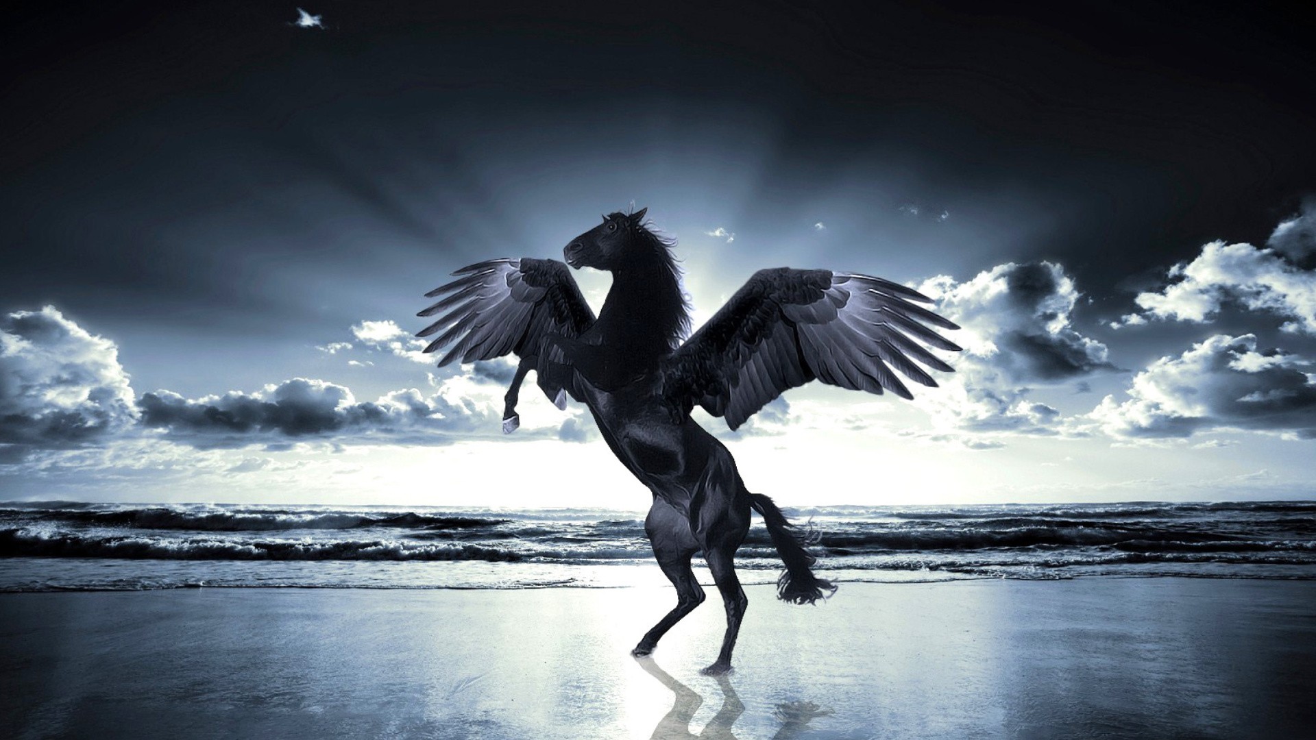Pegasus wallpaper image hd