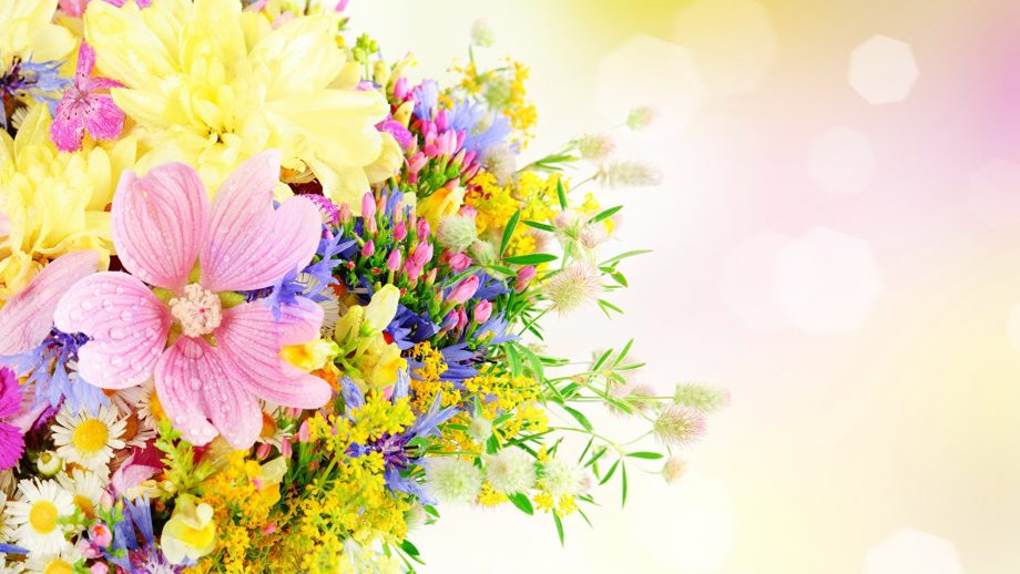 36 Women's Day Flowers Images - Wallpaperboat