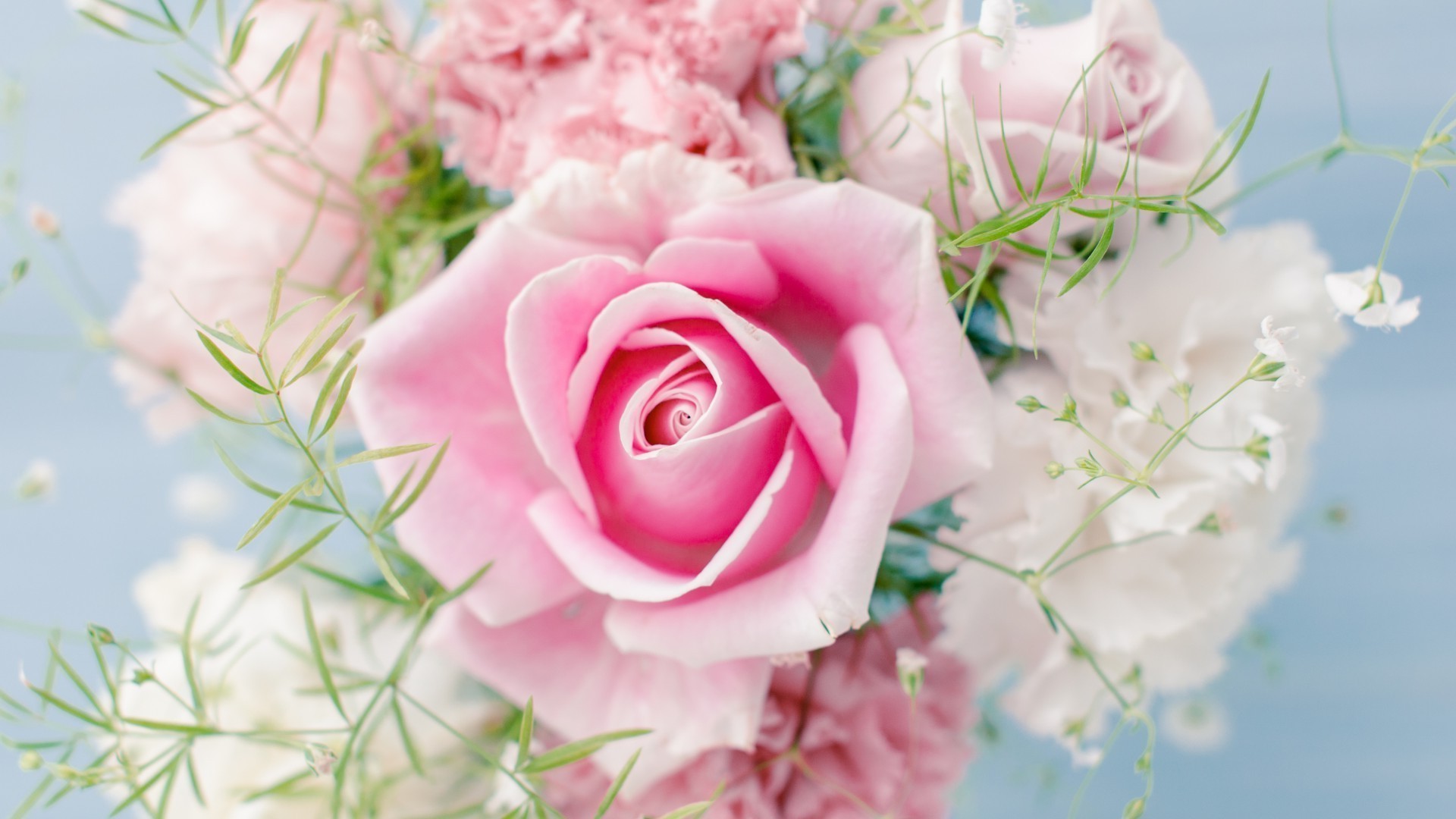 Women's Day Roses image free download