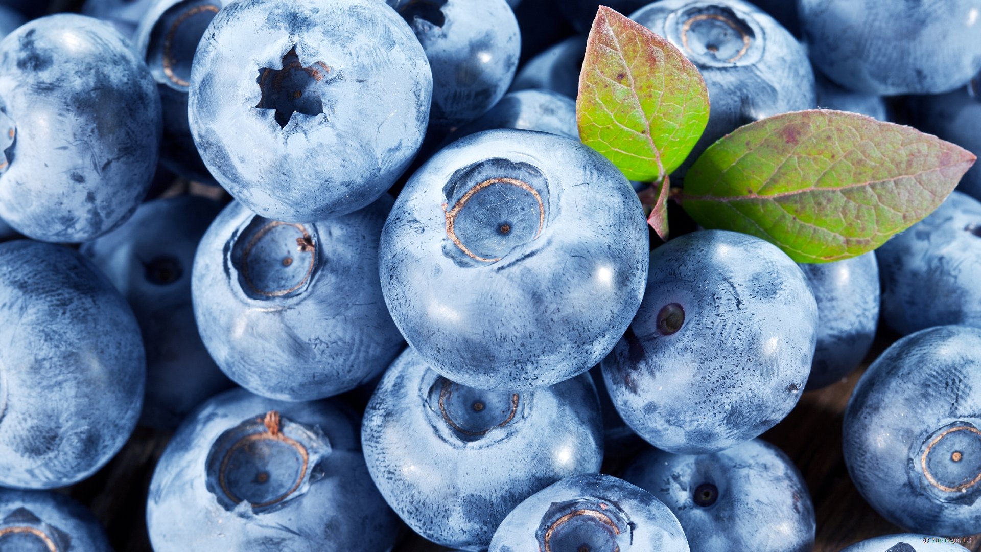 Blueberry full wallpaper