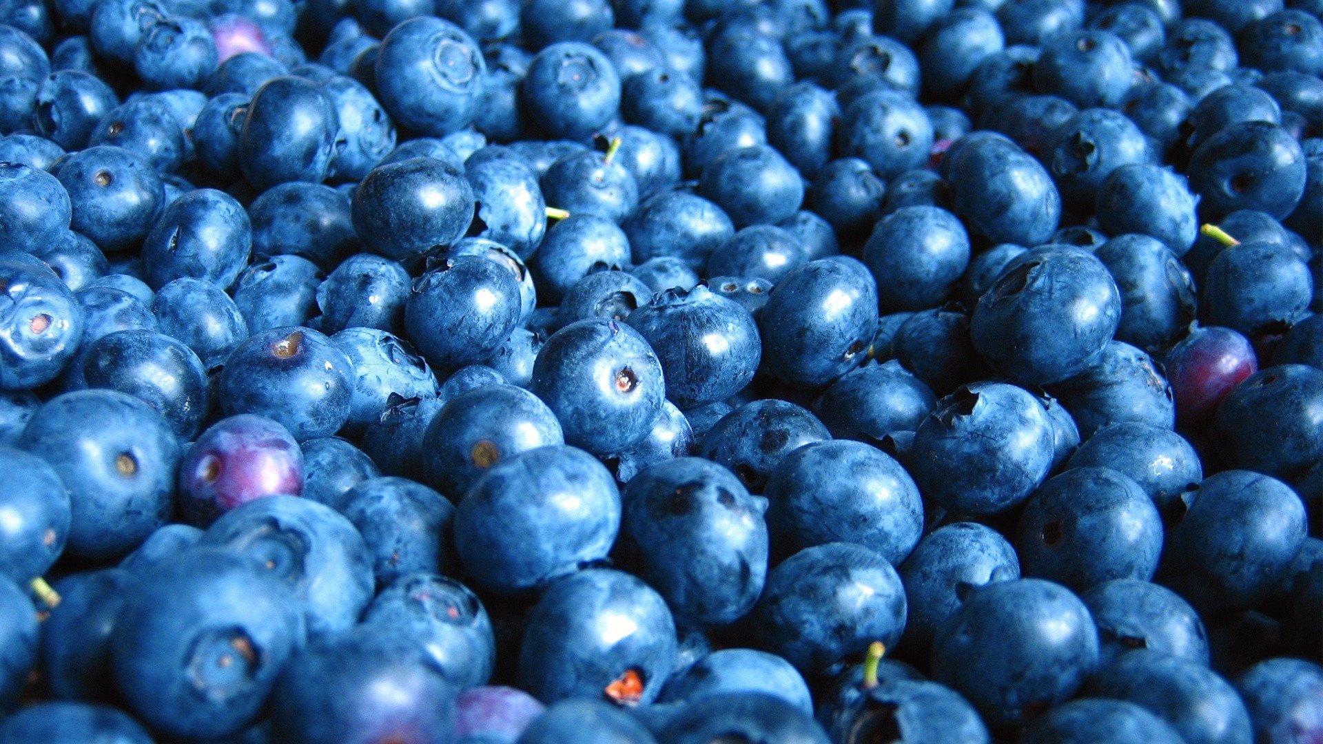 Blueberry Wallpaper Theme