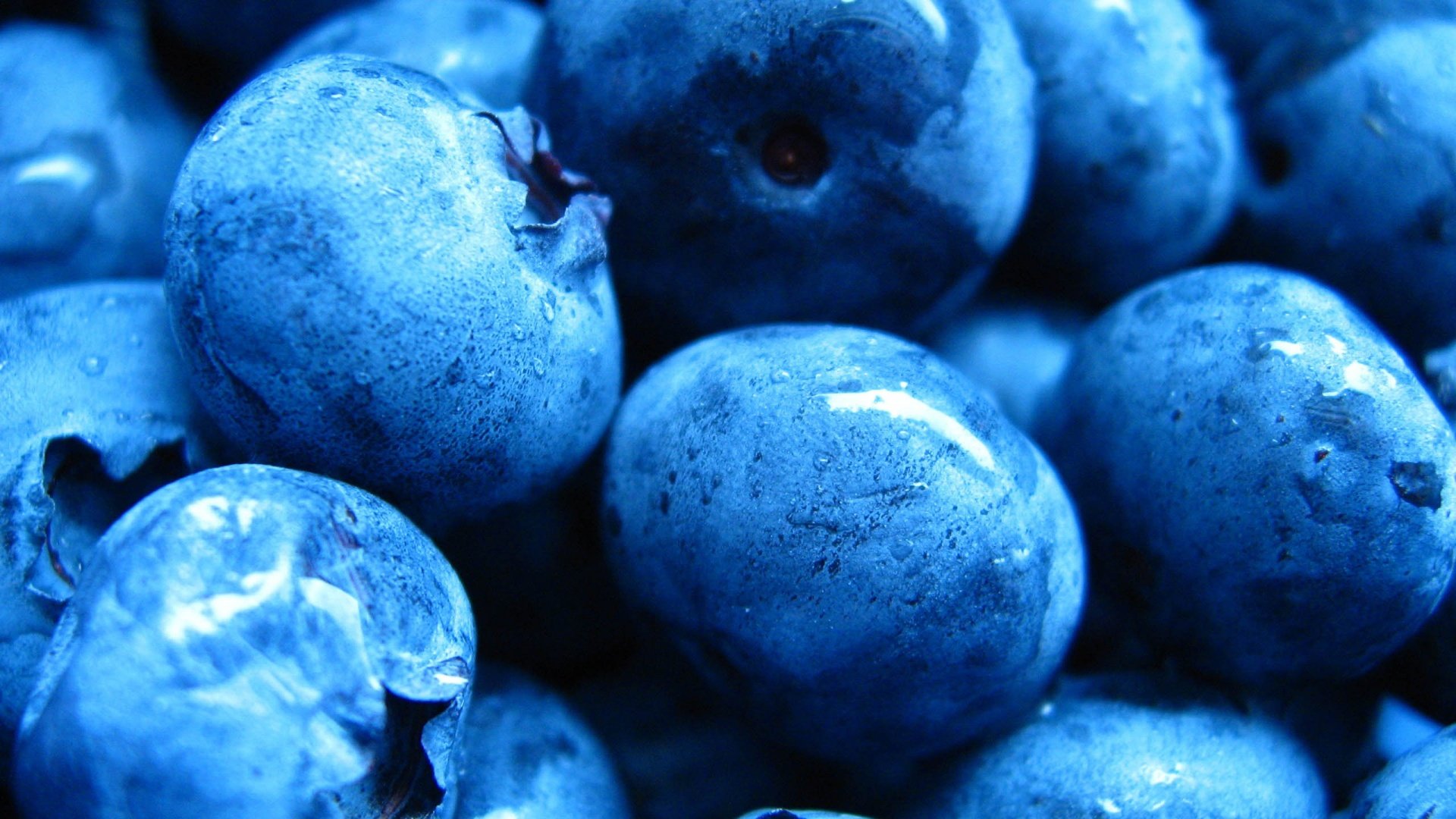 Blueberry HD Desktop Wallpaper