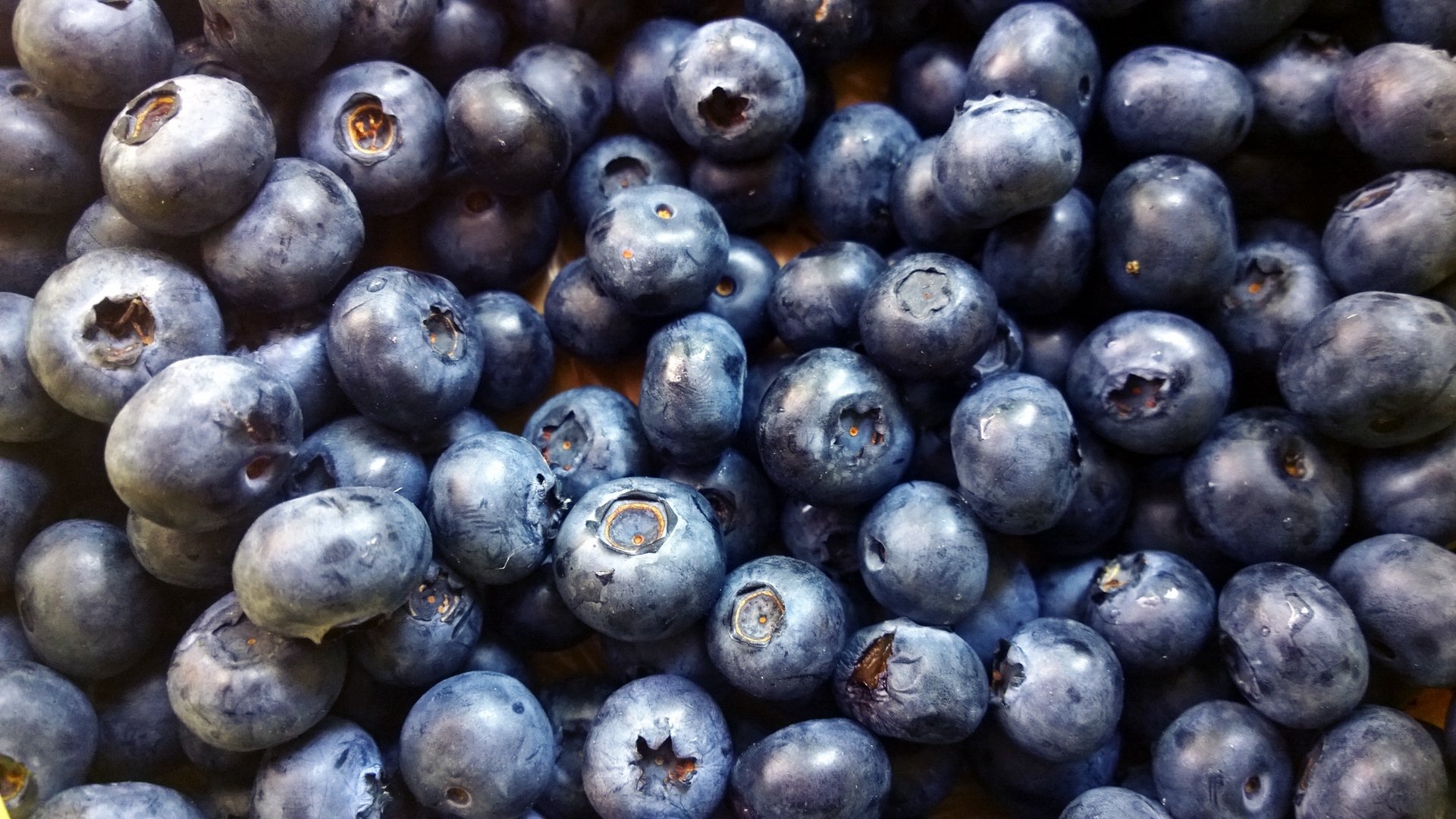 Blueberry Wallpaper