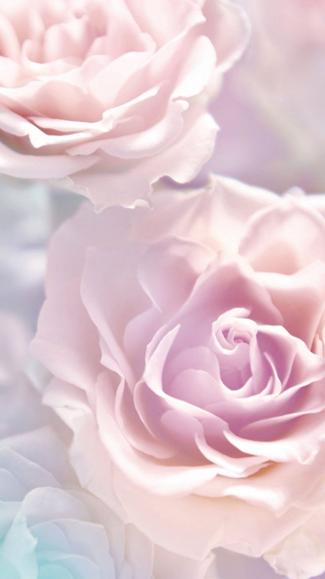 29 Peony Phone Wallpapers - Wallpaperboat