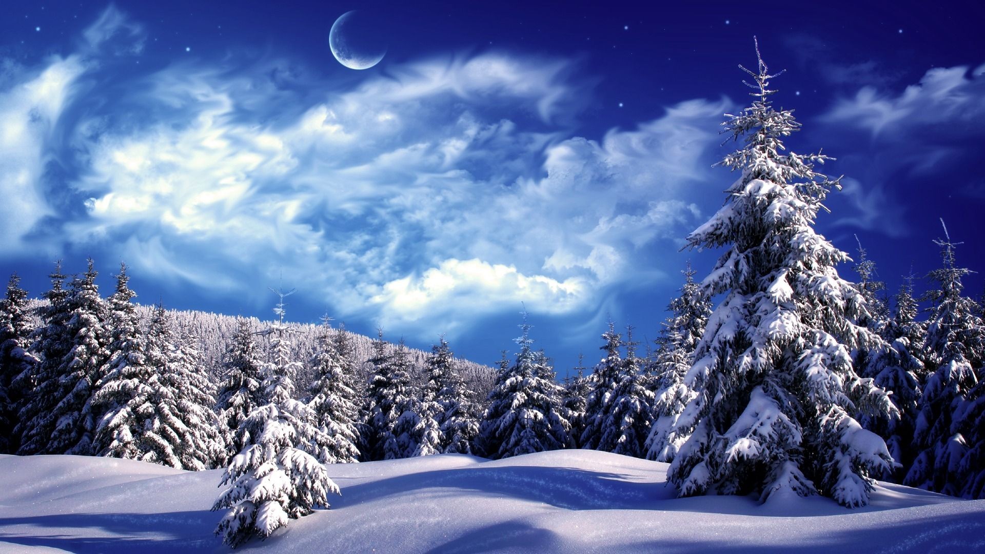 Snowy Forest wallpaper 1080p