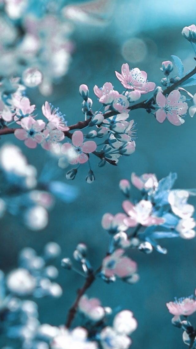 Spring iPhone wallpaper high quality