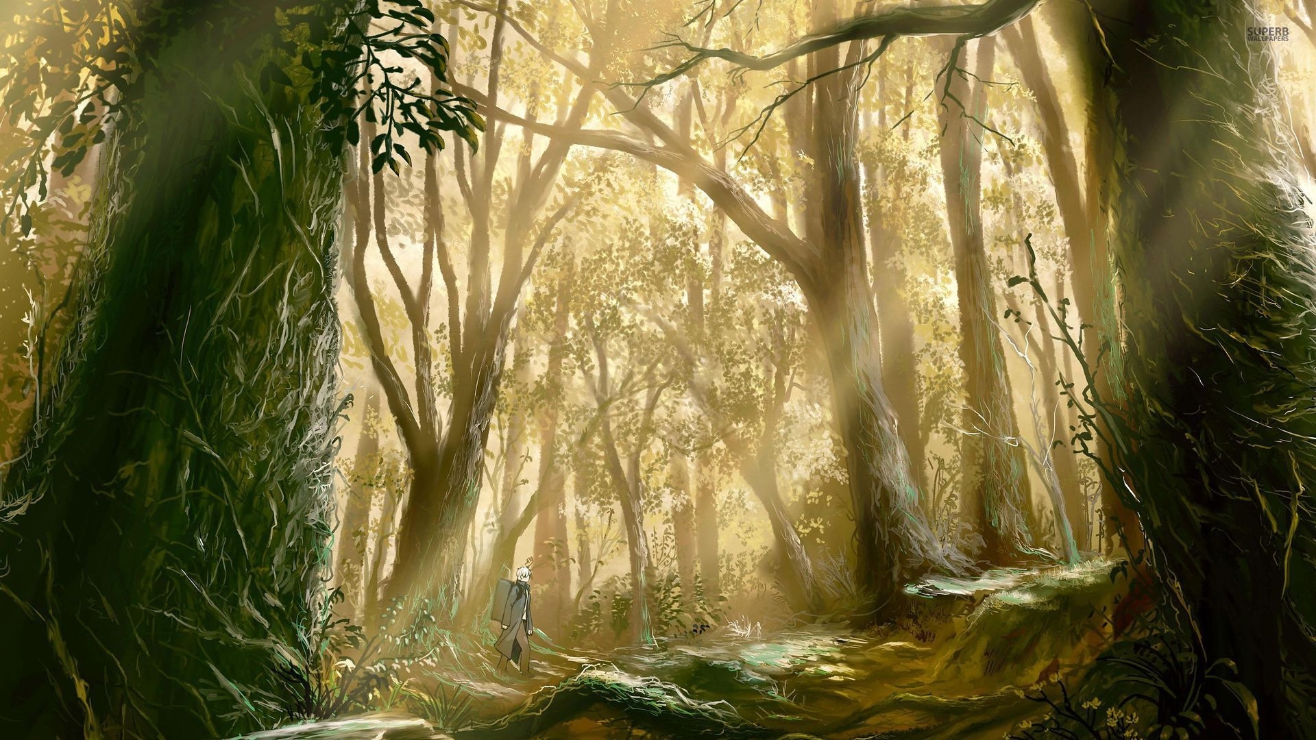Anime Forest free download wallpaper