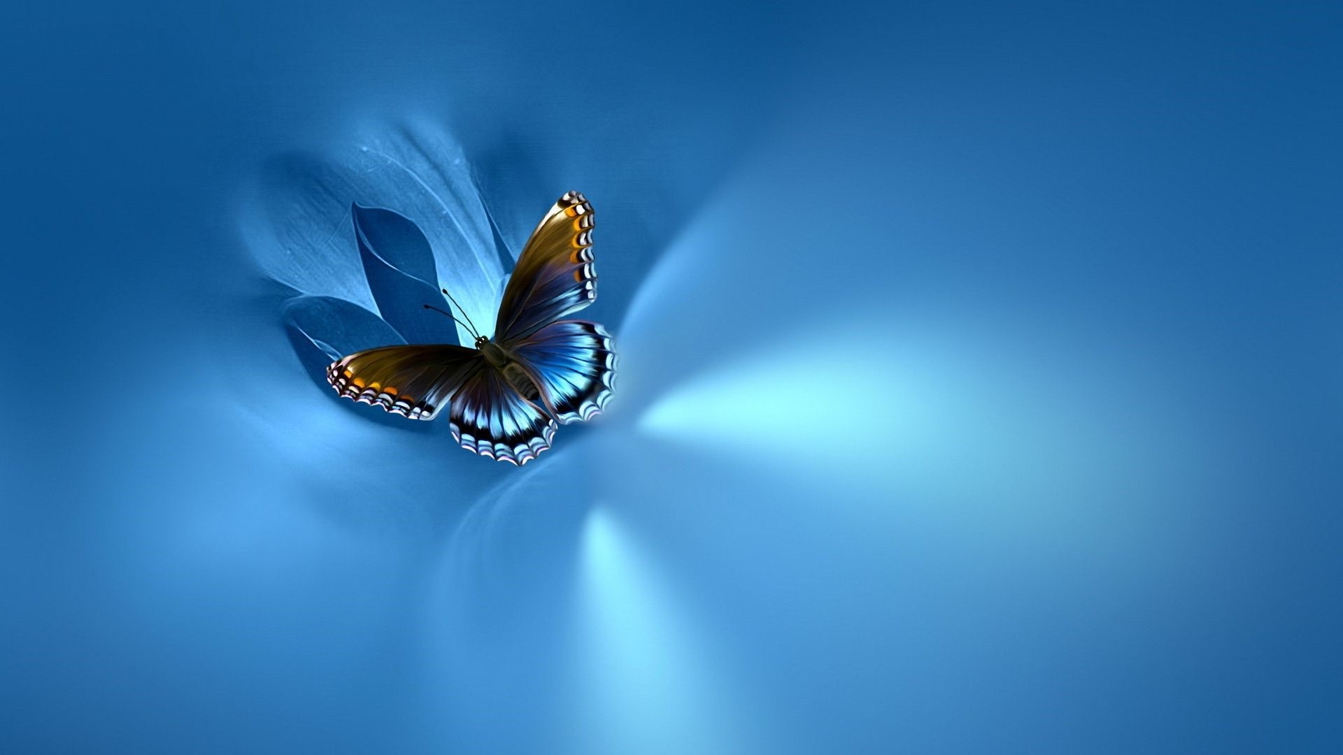 Blue Butterfly Image