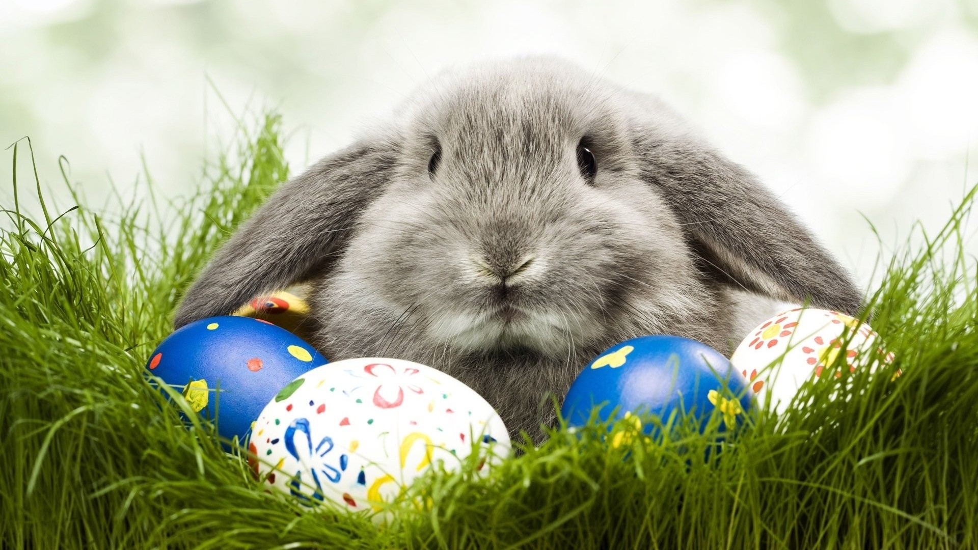 Cute Easter Wallpaper For Pc