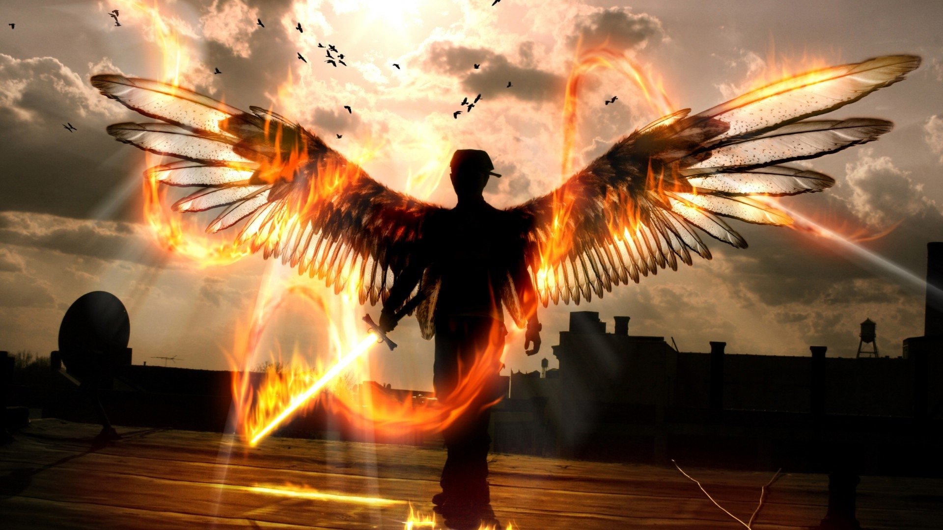 Wings Of Fire Wallpaper For Pc