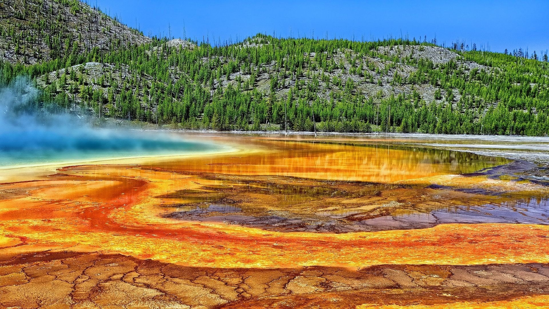Yellowstone Wallpaper For Pc