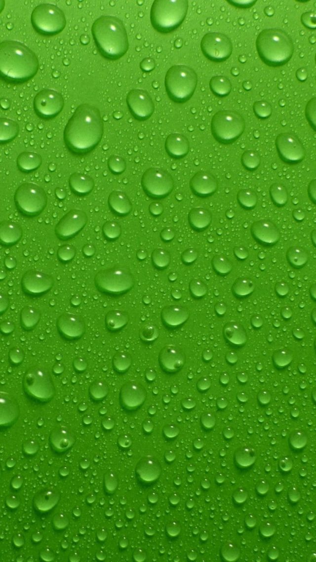 23 Green iPhone Wallpapers - Wallpaperboat