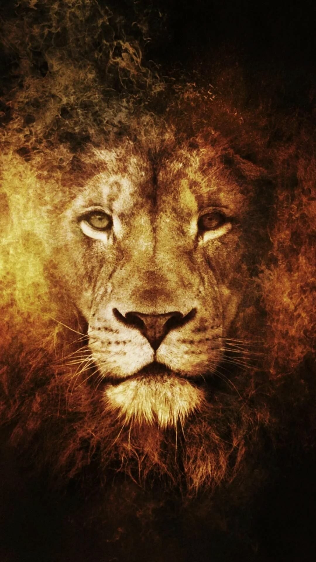 Lion iPhone 6 wallpaper