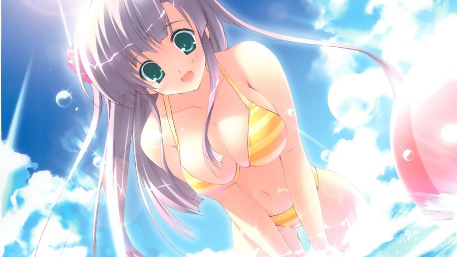 19 Anime Bikini Wallpapers Wallpaperboat