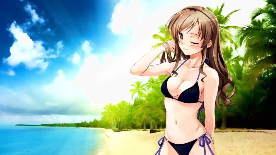 19 Anime Bikini Wallpapers - Wallpaperboat