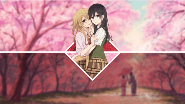 14 Citrus Anime Wallpapers - Wallpaperboat