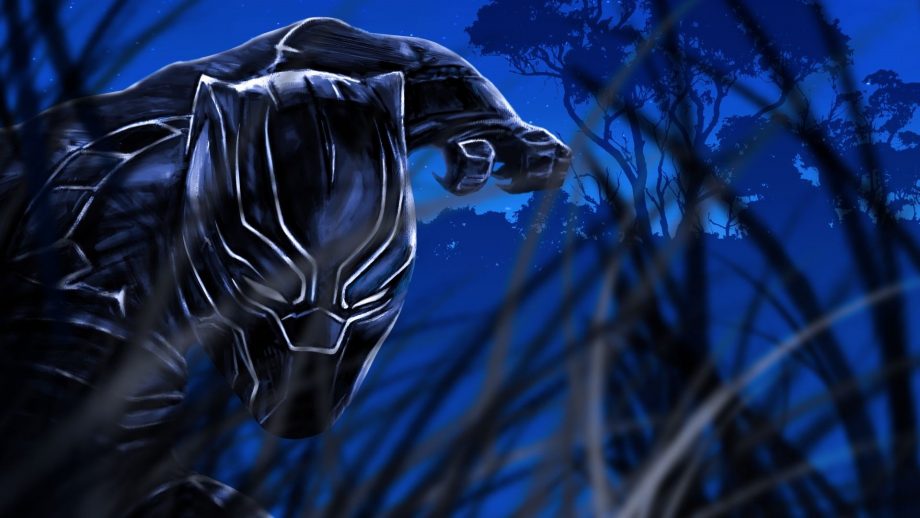 26 Black Panther Wallpapers - Wallpaperboat