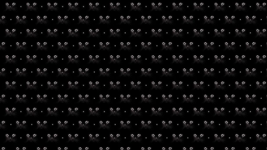 25 Cute Black Wallpapers - Wallpaperboat
