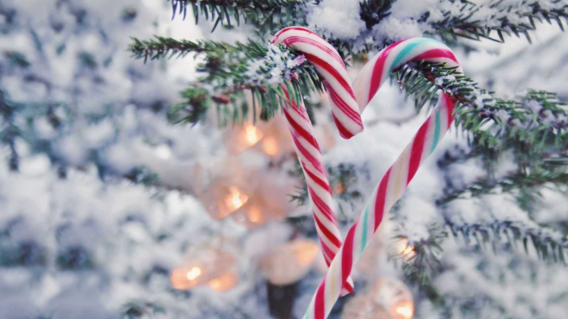 Featured image of post Cute Xmas Backgrounds Aesthetic - Download beautiful, curated free backgrounds on unsplash.