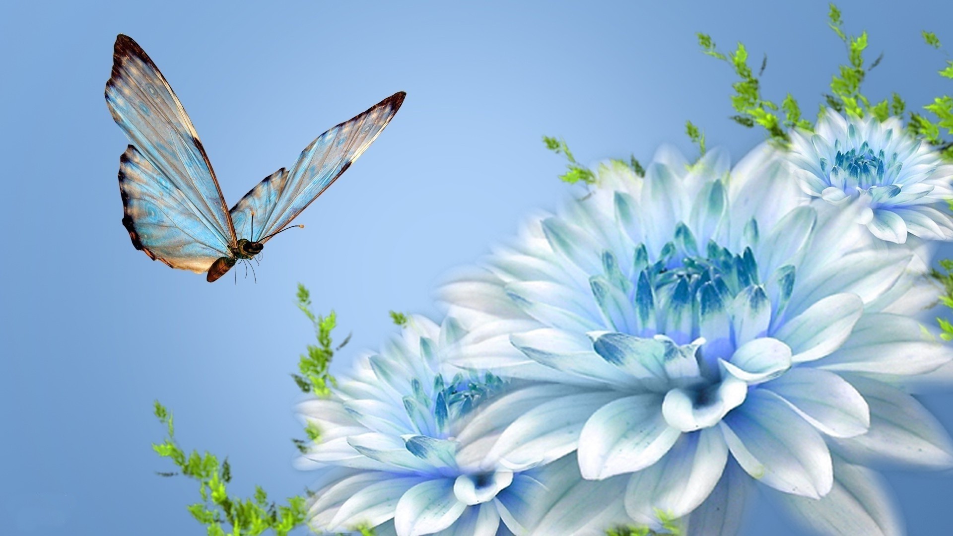 Blue Butterfly PC Wallpaper HD