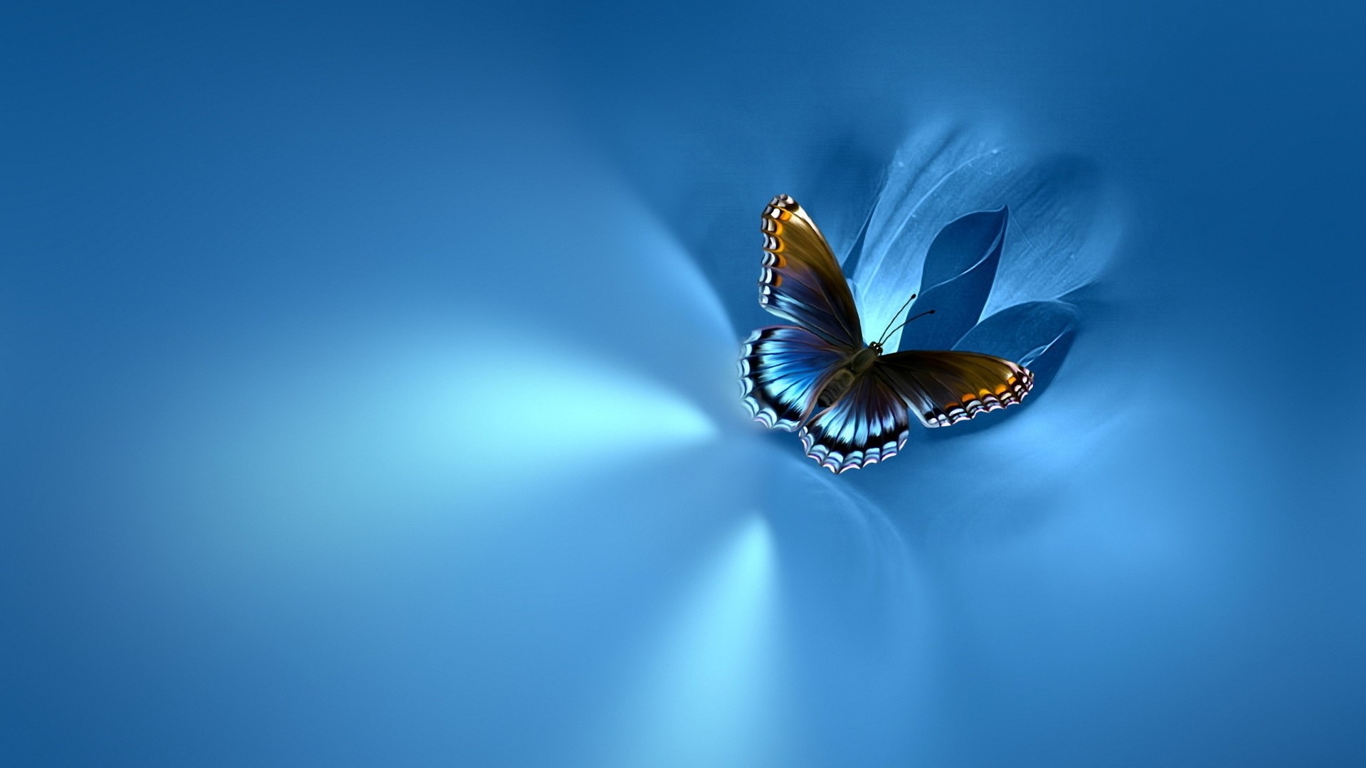 Blue Butterfly Download Wallpaper