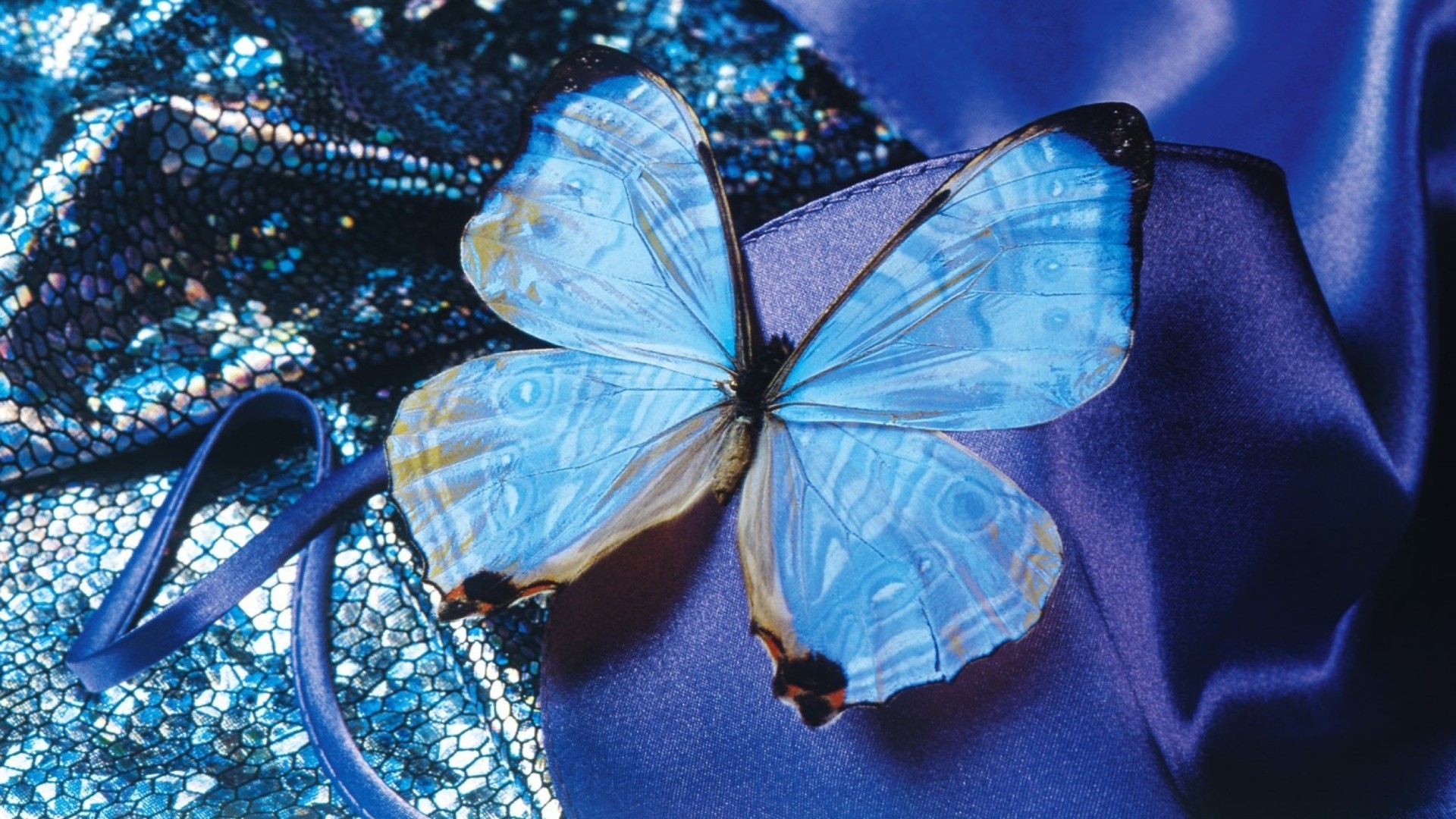 Blue Butterfly Background Wallpaper