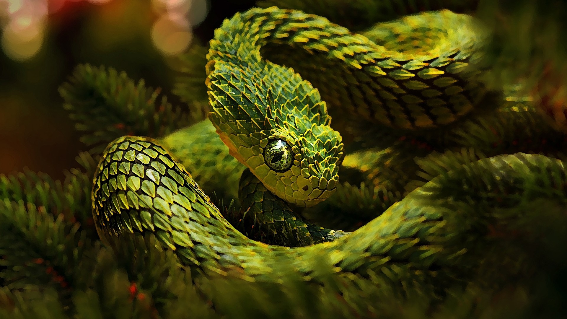 Snake Background Wallpaper