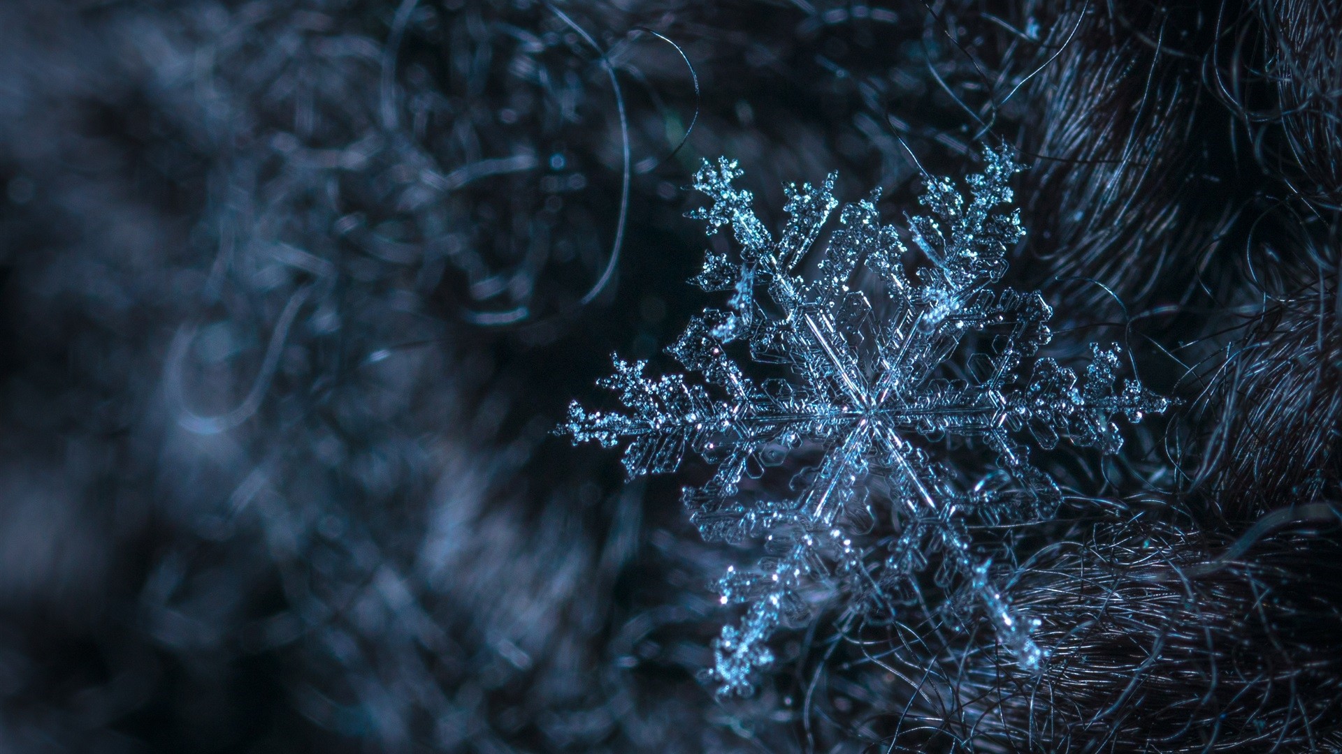 Snowflake HD Wallpaper