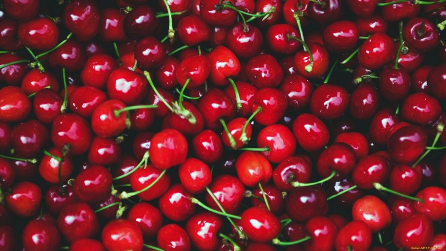 27 Cherry Wallpapers - Wallpaperboat