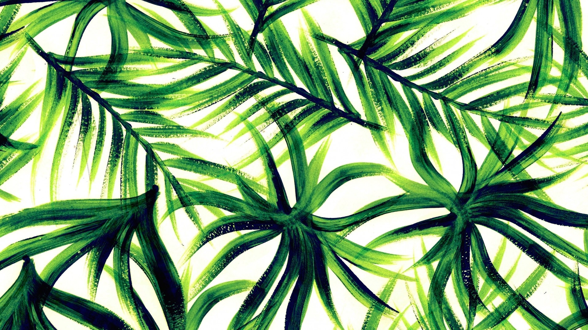 Tropical Leaf Picture