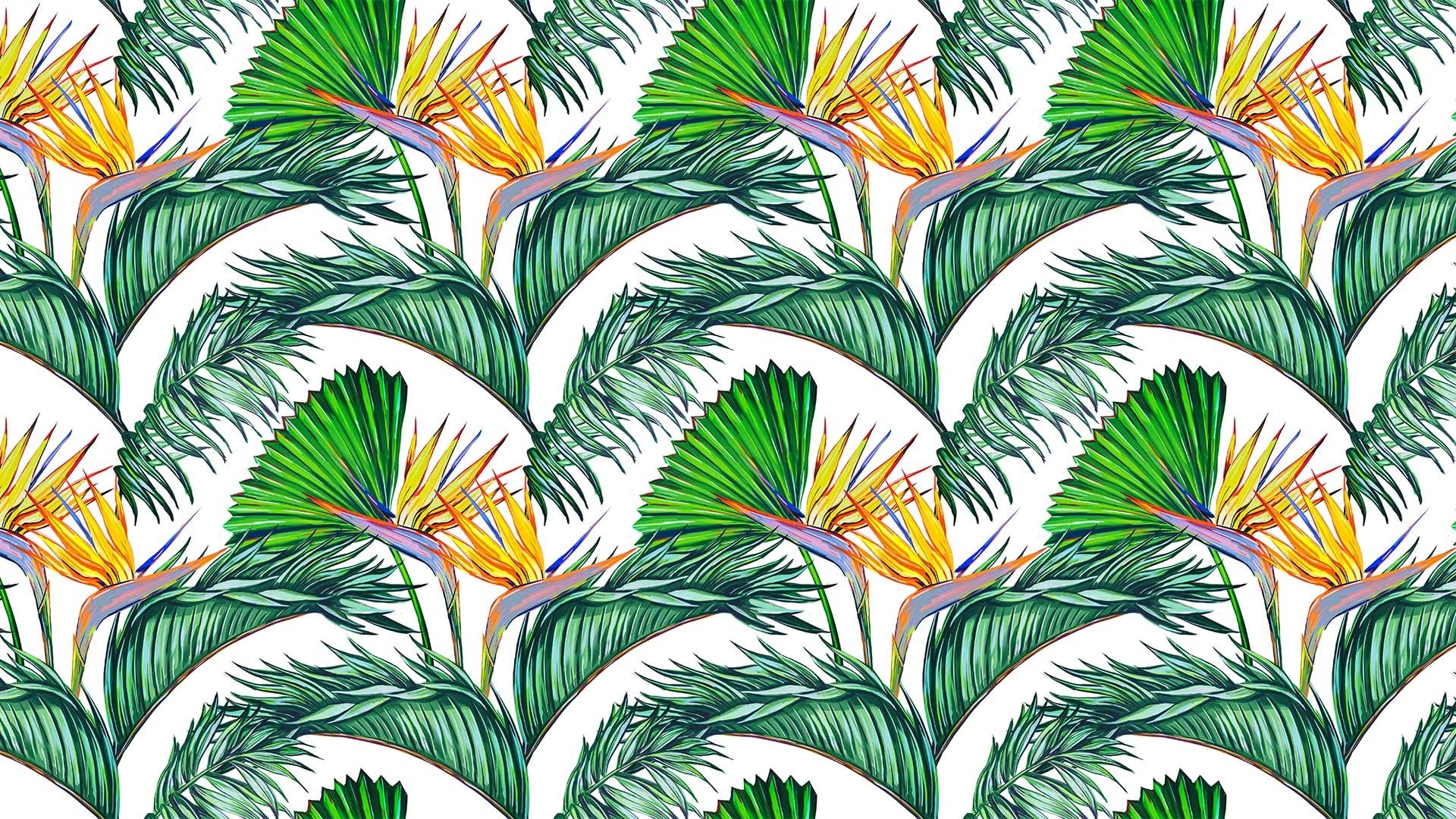 28 Tropical Leaf Wallpapers - Wallpaperboat