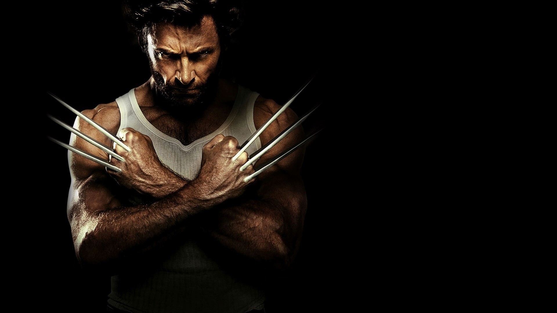 Wolverine Image