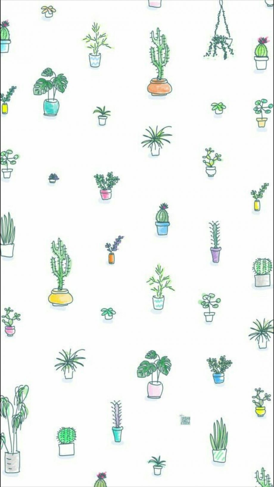 21 Cactus iPhone Wallpapers - Wallpaperboat