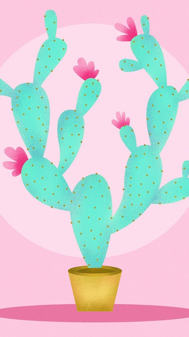 Cactus iphone 7 wallpaper