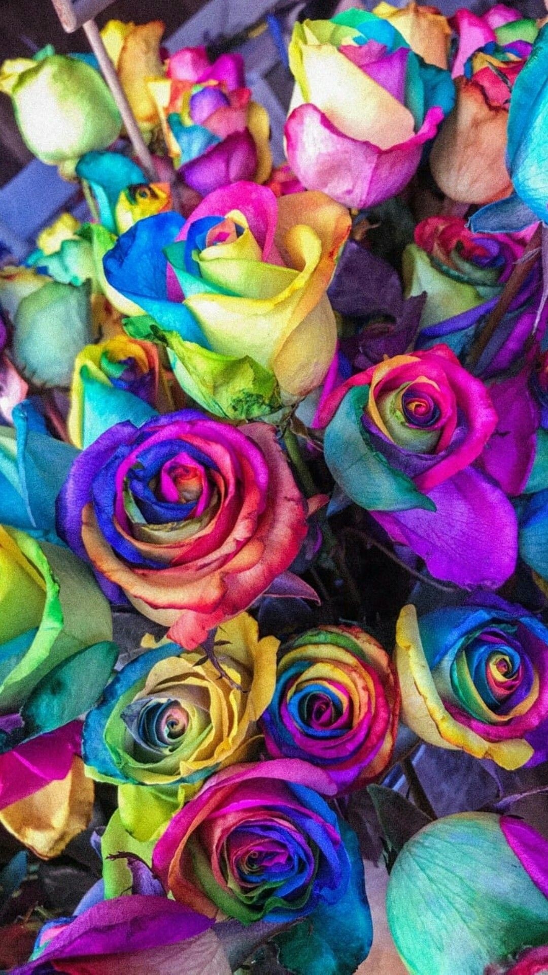 Colorful iphone 5 wallpaper