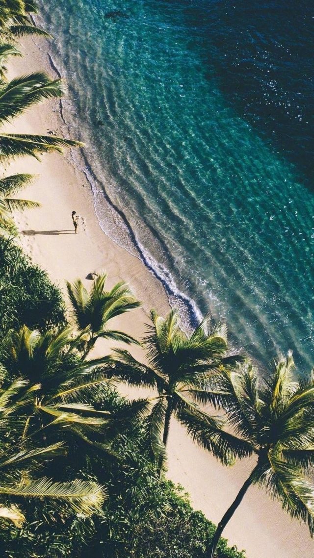 24 Summer iPhone Wallpapers - Wallpaperboat