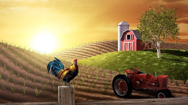 Farm HD Wallpaper