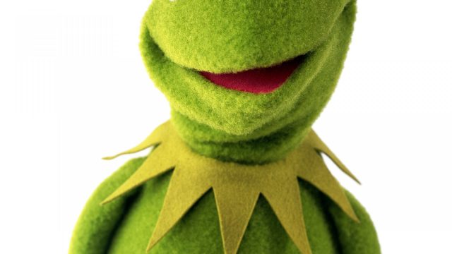 20 Hearts Kermit the Frog Wallpapers - Wallpaperboat