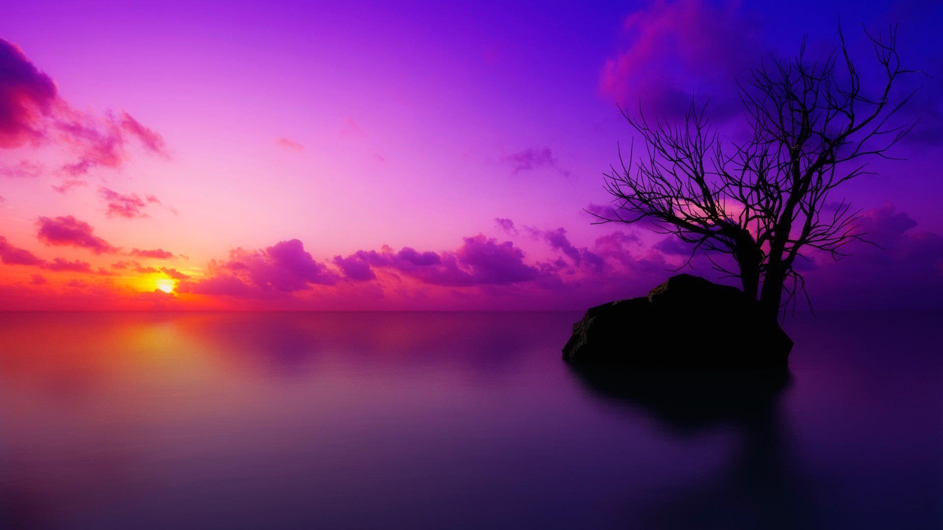 Purple Sky Background Wallpaper