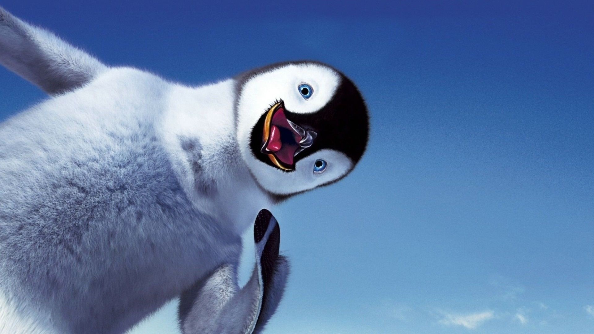 Penguin hd desktop wallpaper