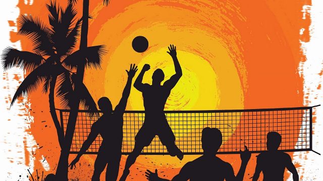 Volleyball Free Wallpaper and Background