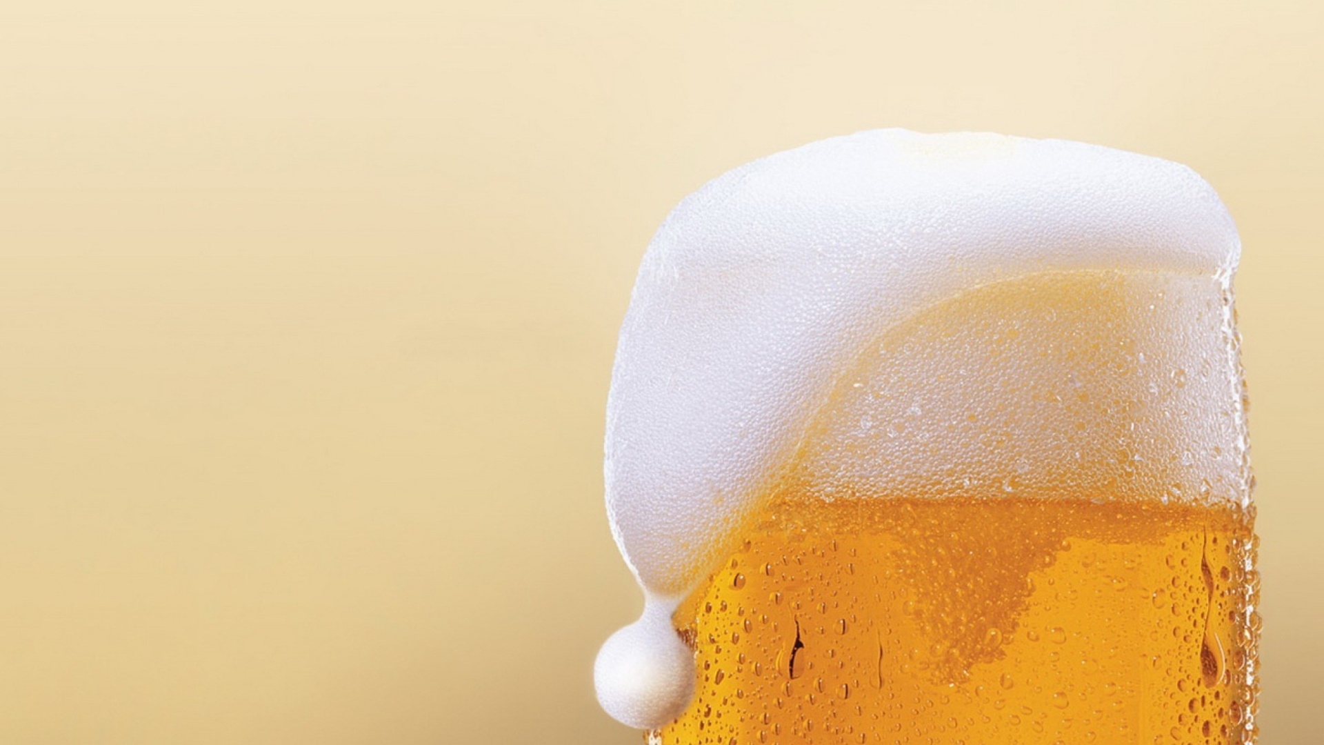 Beer Free Wallpaper and Background