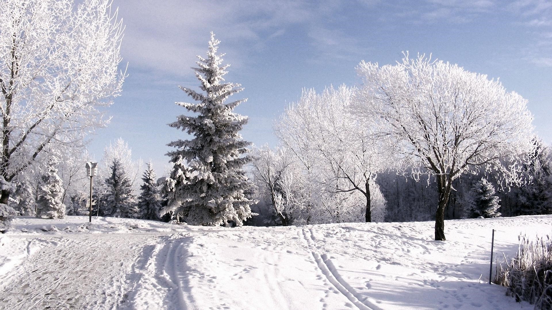 Winter Wonderland HD Download
