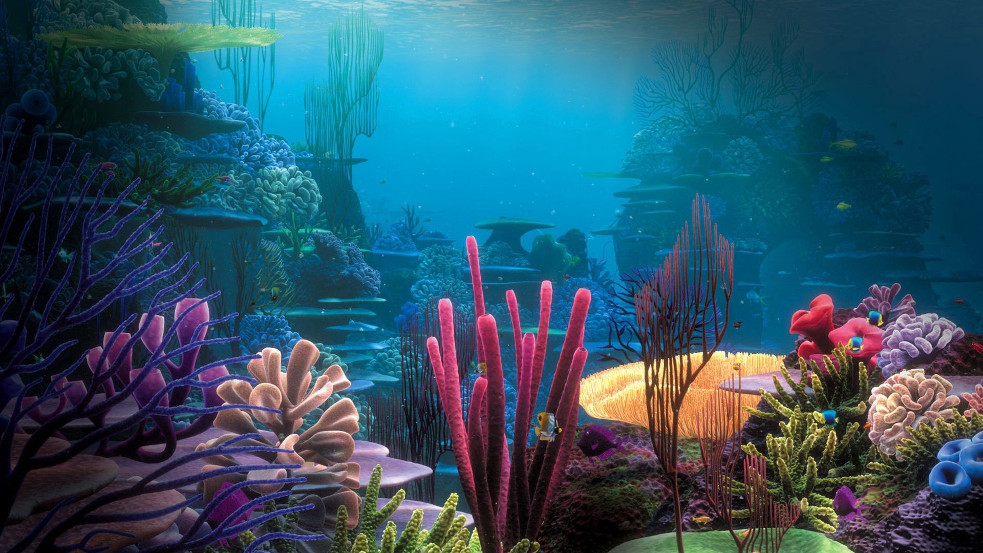 Aquarium wallpaper photo hd