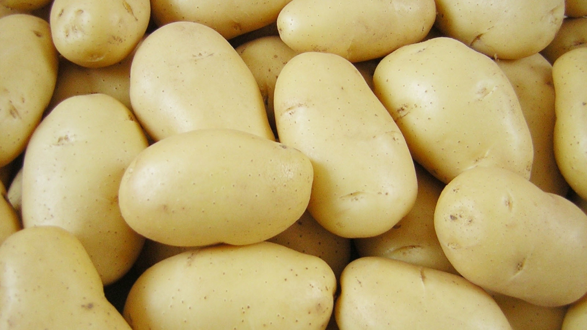 Potatoes Background